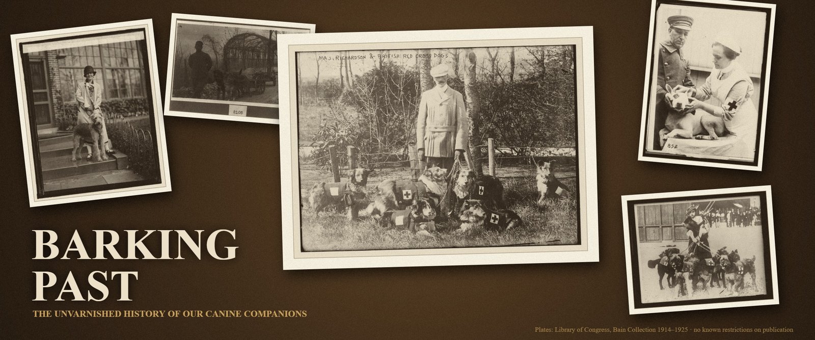Barking Past — The Unvarnished History of Our Canine Companions